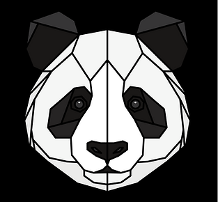 PANDA PIX Logo (3).png