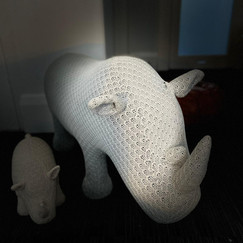 Rhino.jpeg