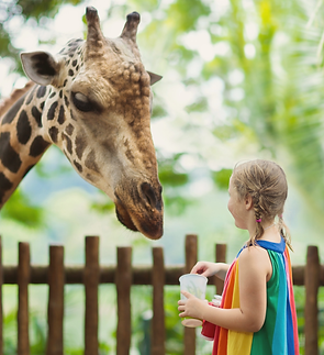 Welcome to.zip - 17.png