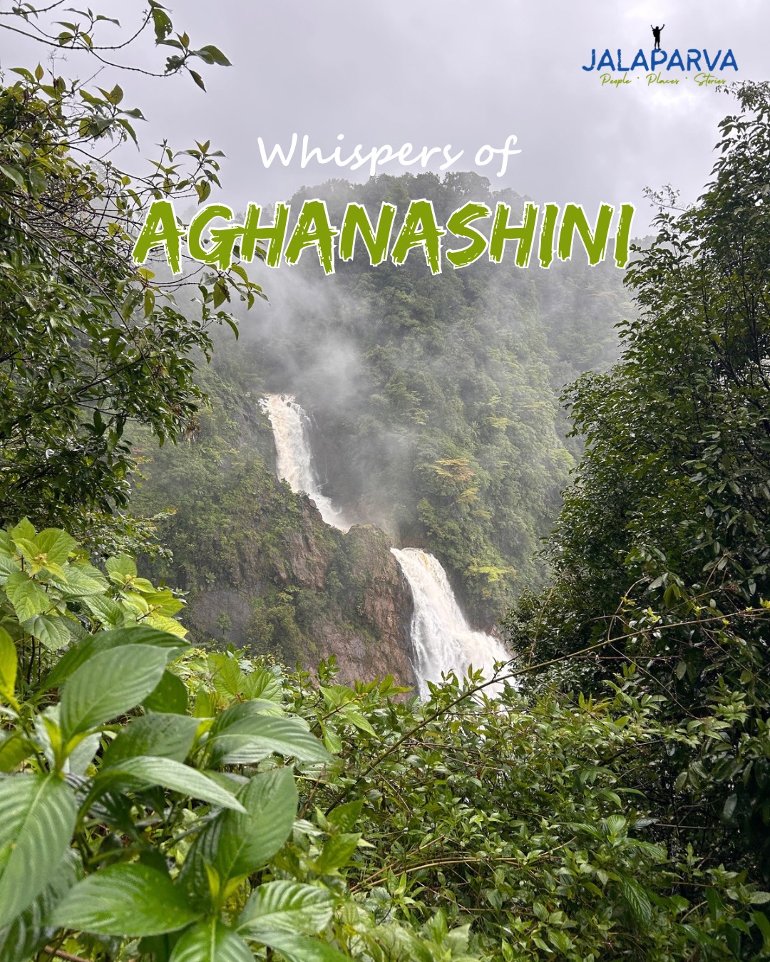 Whispers of Aghanashini poster