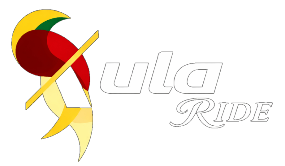 black background logo_edited_edited.png