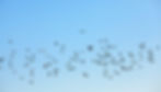 AdobeStock_126469179.jpeg
