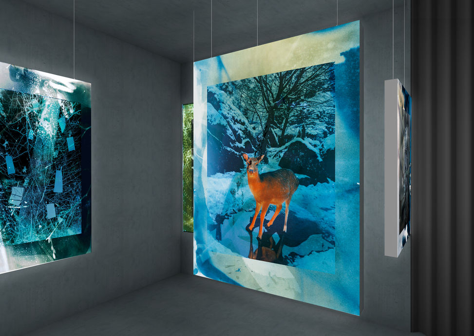 Ausstellungsdesign Kuration Schweiz Designer Ausstellungsgestaltung Ausstellung Kurator Foto Kunst Kultur Schweiz