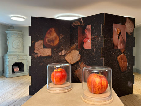 Ausstellungsdesign Kuration Schweiz Designer Ausstellungsgestaltung Ausstellung Kurator Foto Kunst Kultur Schweiz