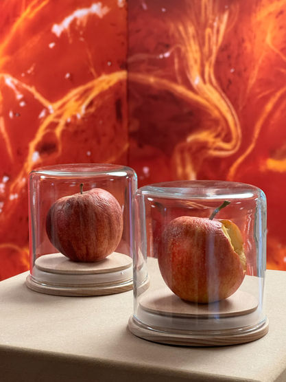 Exhibition Design Curation Switzerland Designer Ausstellungsgestaltung Ausstellung Kurator Foto Kunst Kultur Schweiz