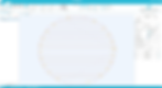 TLS Software Screenshot (circle raster).
