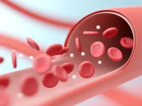 “What’s wrong with modern medicine?” – A cardiologist’s opinion