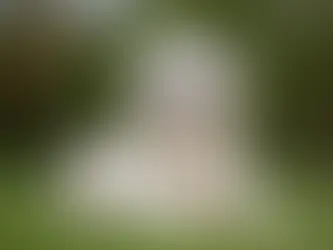 Life Saving Allergy Puppy