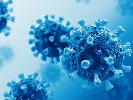 The Covid 19 Pandemic – A Post Mortem
