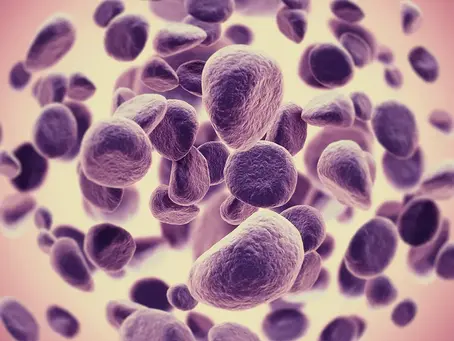 The Truth About Cancer: A Global Quest