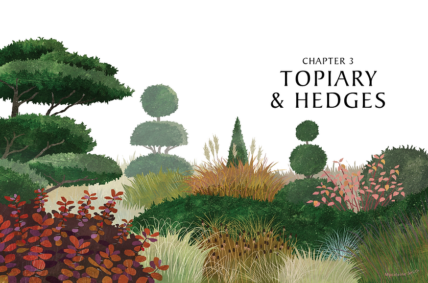 Topiary and hedges.png