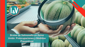 Brotes de Salmonella en Reino Unido: Preocupaciones y Medidas Preventivas