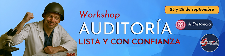 WS Auditorias.png
