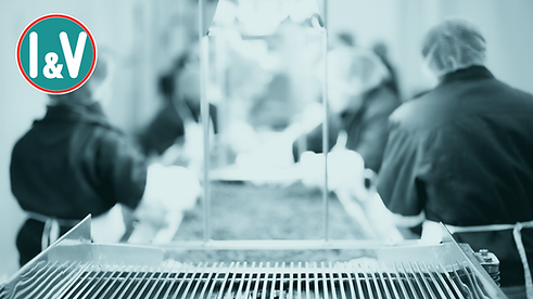 Diseño sin título (23).png