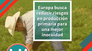 Los expertos evalúan formas de reducir los riesgos de seguridad de los productos agrícolas frescos