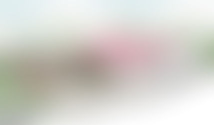 The Clatterbridge Cancer Centre has announced plans to refurbish and upgrade its treatment facility units in Halton and the Wirral.