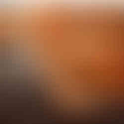 Credit: Supplied By Publicist.