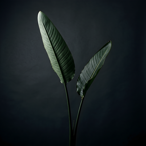 _ESRGAN_35890.png