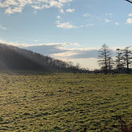 ダイニングBARましゅうぶるー 様（北海道）の納品実績ギャラリー