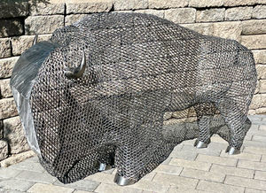bison