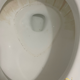 outro vaso branco 1.png