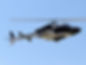 DSC09776.jpg