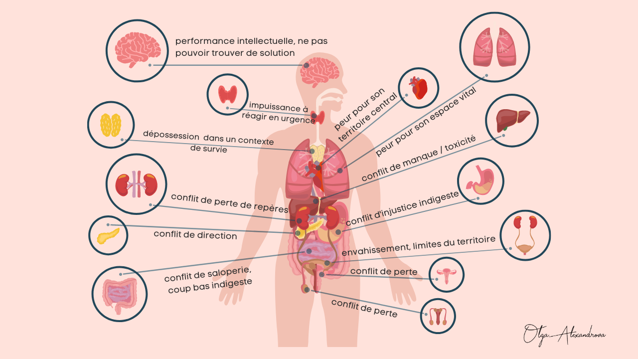 decodage-biologique-sens-biologique.webp