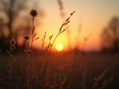 Where Do I Begin When I Feel Overwhelmed? Gentle Nervous System Reset | Healing Oasis Charleston