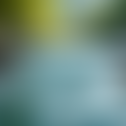 The Importance of the Lymphatic System