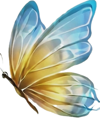 EEF1C139-5344-466A-8902-C12D098DED47_edited_edited_edited_edited.png