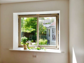 Window view of garden with greenery outside.