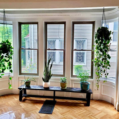 Bright room with large windows and hanging plants.