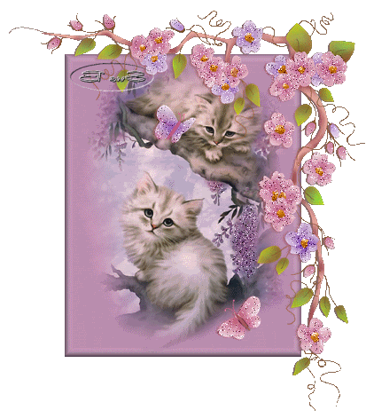 GIF ANIMAUX 7.gif