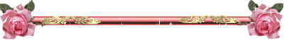 BARRE DE SEPARATION 10 (2).gif