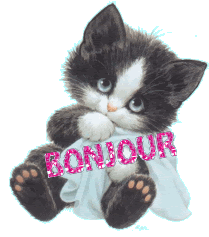 BONJOUR 10.gif