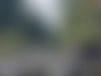 Across the Waterline