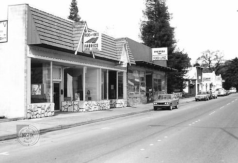 1970-Italian-Swiss-Architecture2WM.jpg