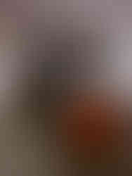 loThings_Worth_Knowing