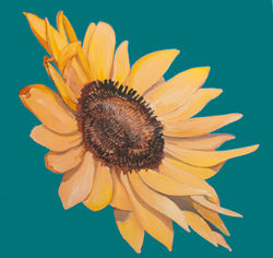 Garden Variety - Sunflower