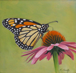 Monarch 3