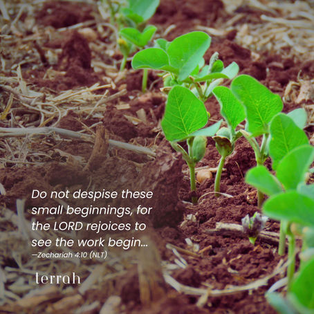 Young green sprouts emerging from soil, set against a backdrop of brown earth. Text reads: "Do not despise these small beginnings..."