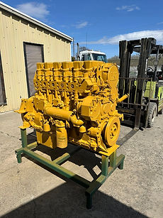 Cat yellow front.jpg