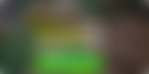 Aposte sem precisar depositar nada