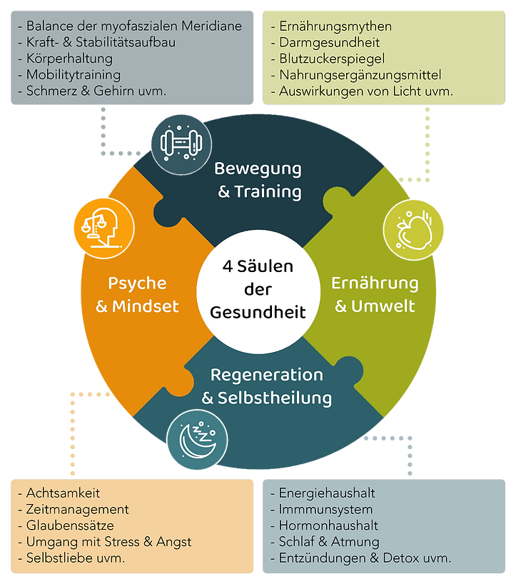 4 Säulen der Gesundheit