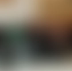 Ny bedrift i Kuben: Industripartner