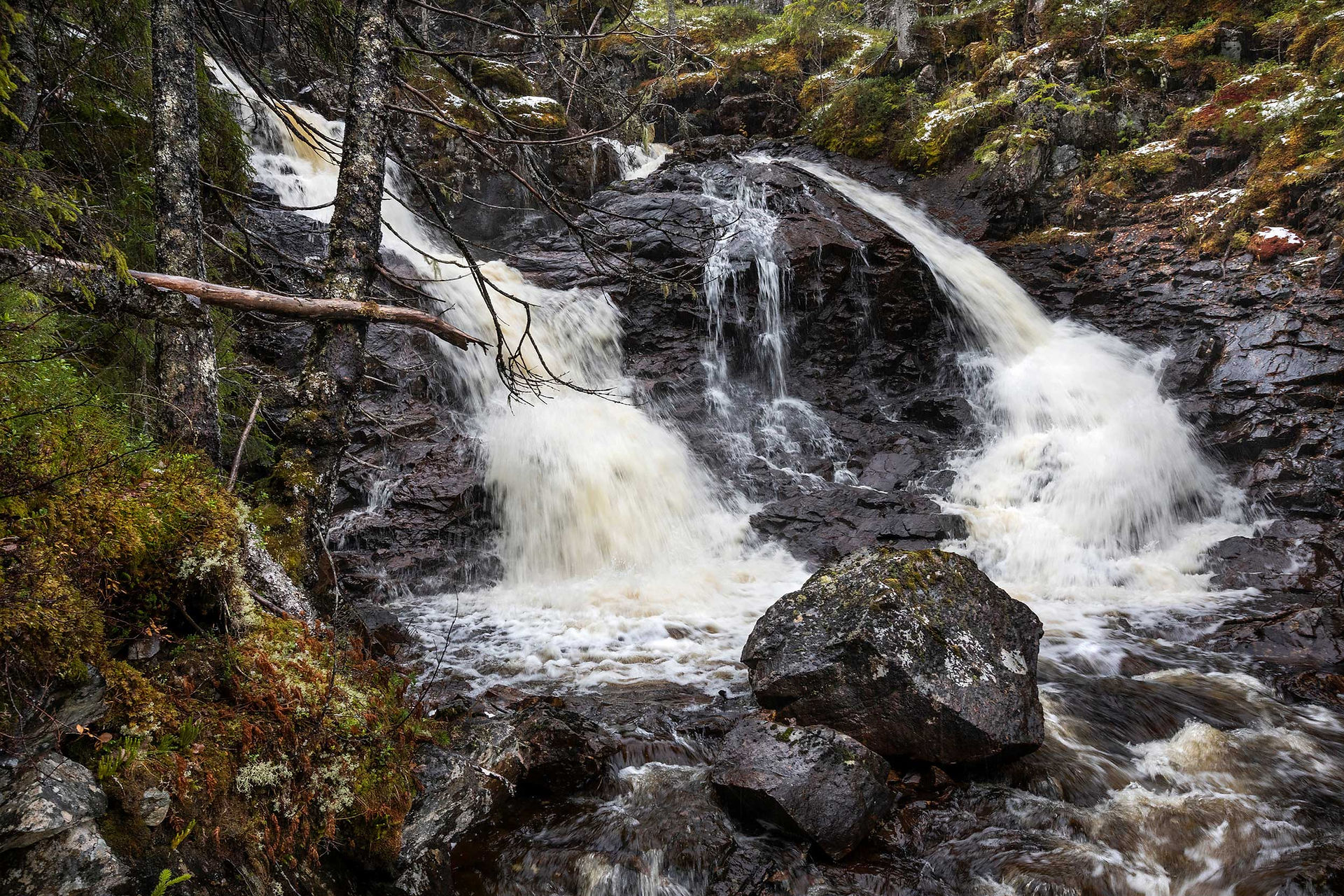 Sagfossen