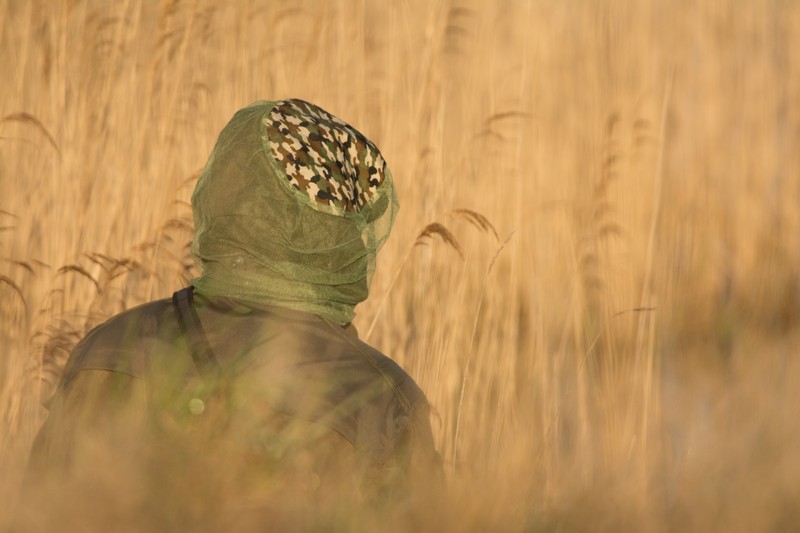 Rencontre photographique en baie de Somme – Le marais du hâble d’Ault