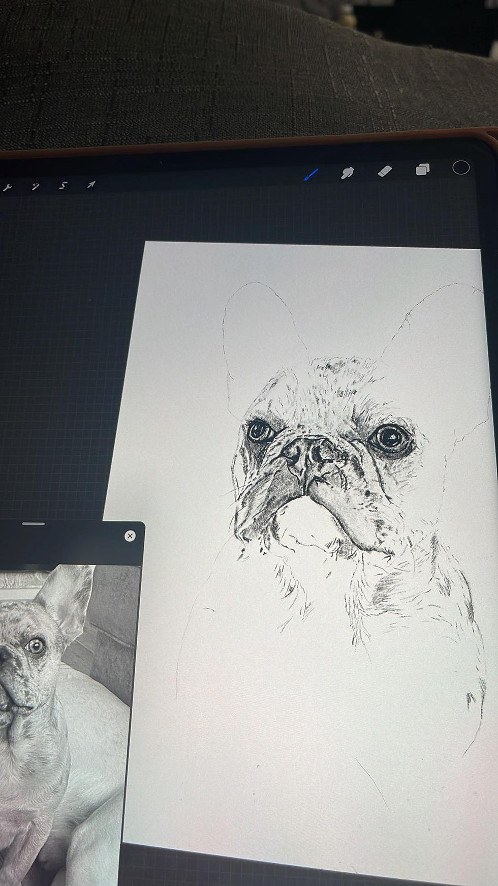 Thumbnail: Commission Dog Portrait