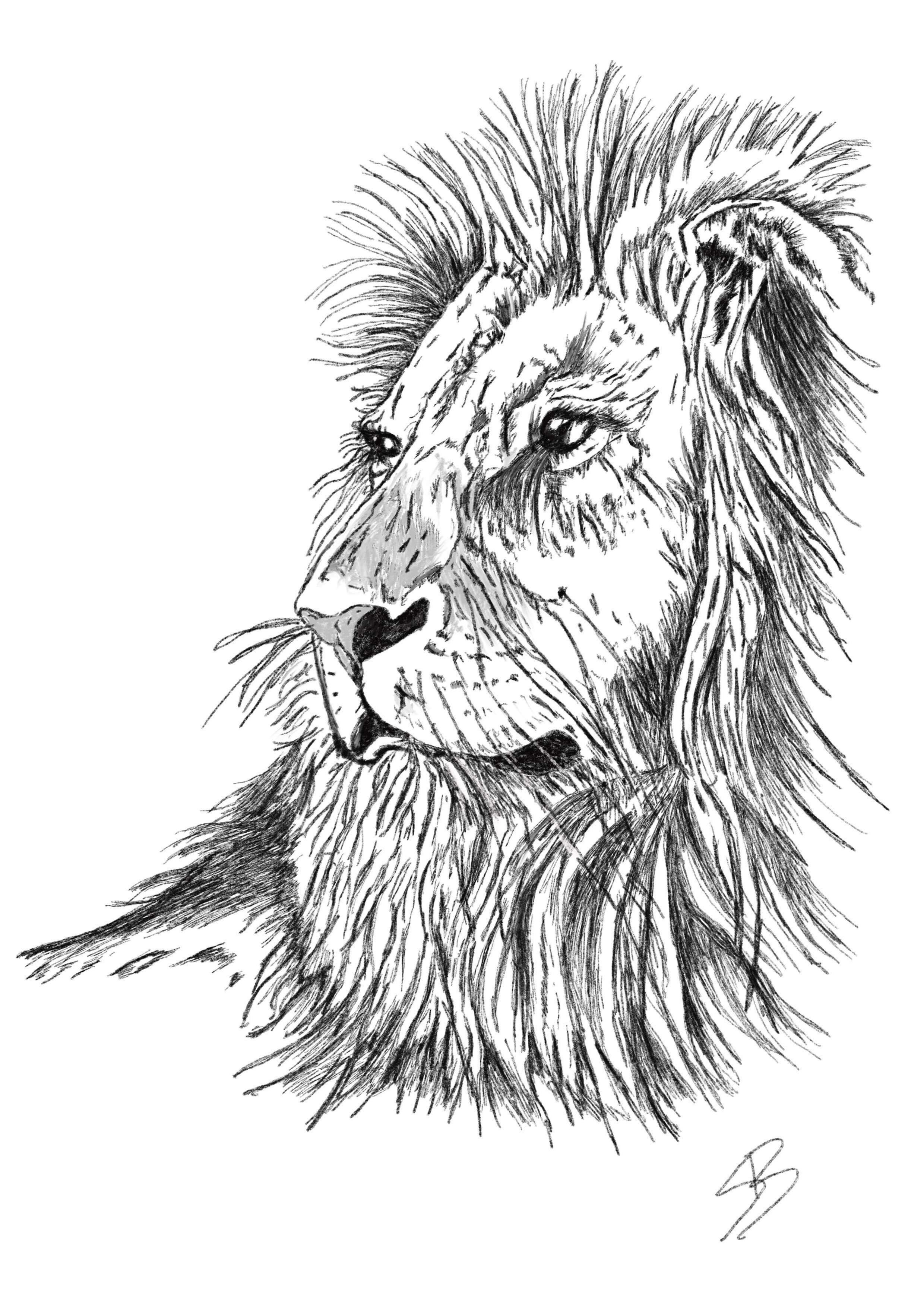 Commission OtherAnimal/Pet Portrait