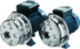 CDX_2CDX.png